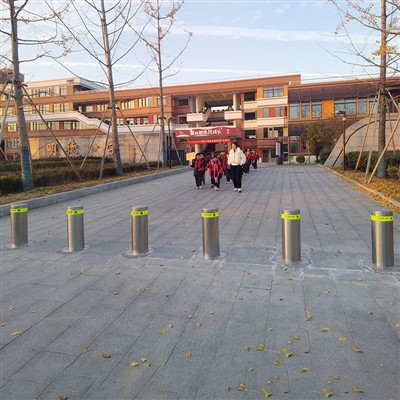 Bolardi Cyrch Anti Ram